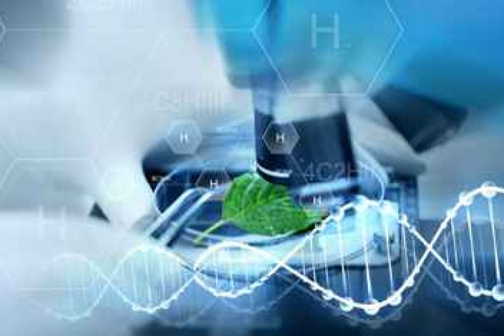 Screenshot 2024-07-19 093620_3_11zon